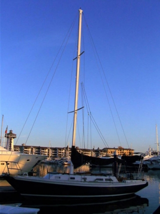 Excellent boats